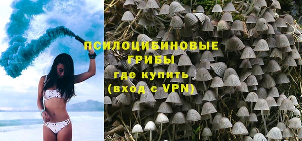 ешки Абинск